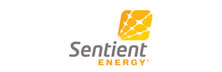 Sentient Energy<sup>®</sup>: Making the Grid Safe, Reliable, and Future-Ready